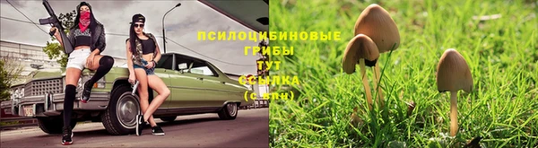 мдма Приозерск