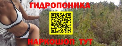 ПСИЛОЦИБИНОВЫЕ ГРИБЫ Ипатово