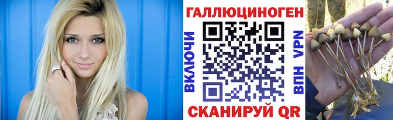 гидра ONION  где найти   Пенза  Галлюциногенные грибы прущие грибы 