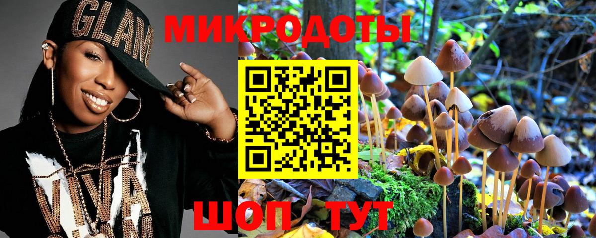 Псилоцибиновые грибы прущие грибы Пенза