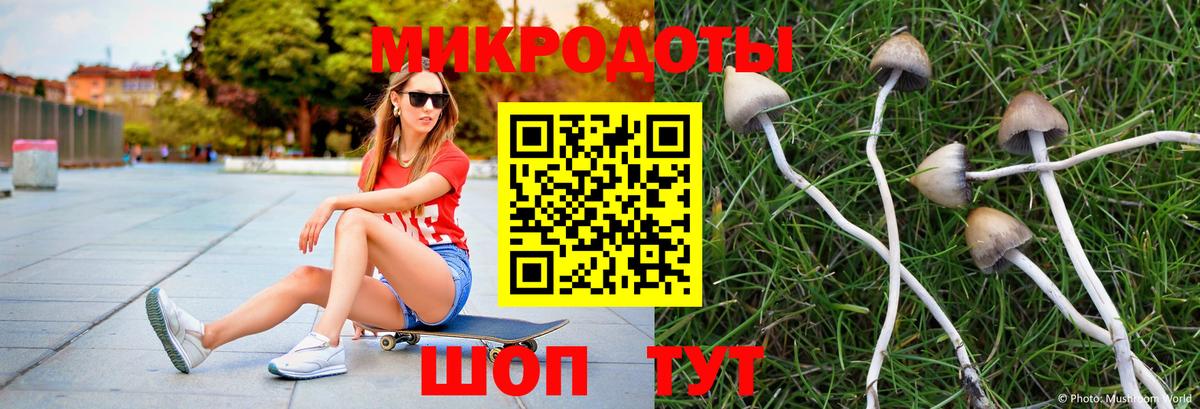 Галлюциногенные грибы мухоморы Пенза