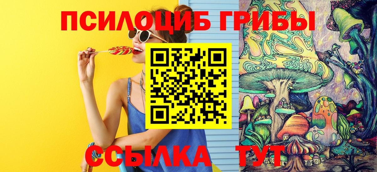 где найти   Псилоцибиновые грибы Magic Shrooms  Вход с VPN  Псилоцибиновые грибы Magic Shrooms  Пенза 