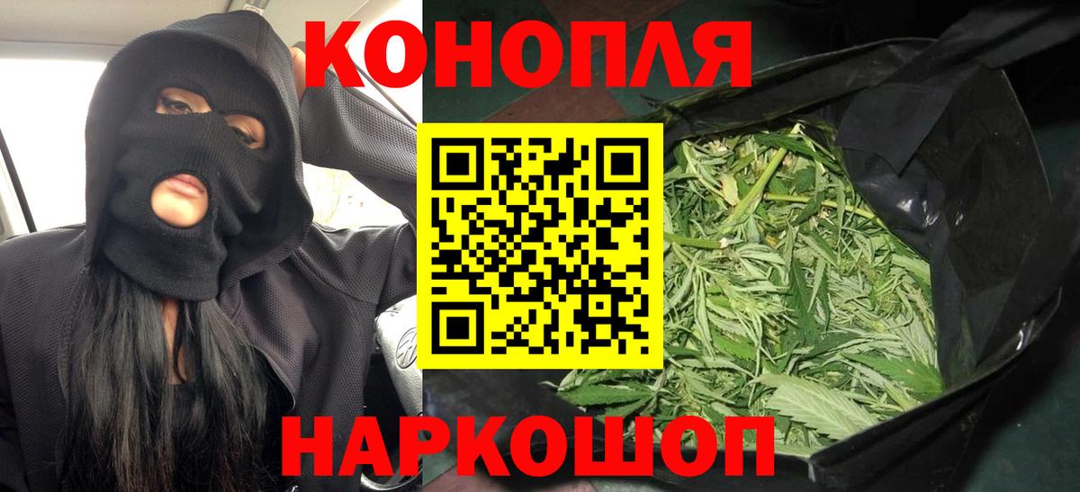 Бошки Шишки сатива  Конопля AK-47  Пенза  МАРИХУАНА сатива 